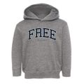 Free Indiana Traditional Toddler Hoodie additional view 1