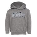 Cottonwood Cove New York Traditional Toddler Hoodie additional view 1