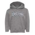 Schodack Landing New York Traditional Toddler Hoodie additional view 1