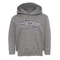 Pratts Hollow New York Traditional Toddler Hoodie additional view 1