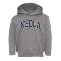 Neola Kansas Traditional Toddler Hoodie additional view 1