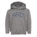 Harveys Virginia Traditional Toddler Hoodie additional view 1