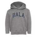 Bala Kansas Traditional Toddler Hoodie additional view 1