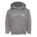 Walkleys Landing New York Traditional Toddler Hoodie additional view 1