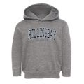 Rollingbay Washington Traditional Toddler Hoodie additional view 1