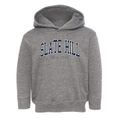 Slate Hill New York Traditional Toddler Hoodie additional view 1