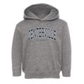 Centerville Vermont Traditional Toddler Hoodie additional view 1