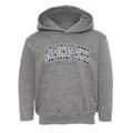 Mclaughlin Acres New York Traditional Toddler Hoodie additional view 1