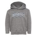 Conewango Valley New York Traditional Toddler Hoodie additional view 1