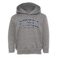 Pittsfield New Hampshire Traditional Toddler Hoodie additional view 1