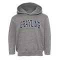 Grayling Michigan Traditional Toddler Hoodie additional view 1
