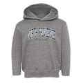 North Providence Rhode Island Traditional Toddler Hoodie additional view 1