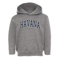 Havana Florida Traditional Toddler Hoodie additional view 1
