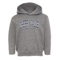 Cherry Valley New York Traditional Toddler Hoodie additional view 1