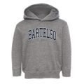 Bartelso Illinois Traditional Toddler Hoodie additional view 1