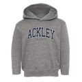 Ackley Wisconsin Traditional Toddler Hoodie additional view 1