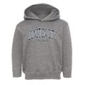 Junction City Wisconsin Traditional Toddler Hoodie additional view 1