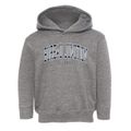Bureau Junction Illinois Traditional Toddler Hoodie additional view 1