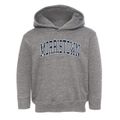 Morristown Ohio Traditional Toddler Hoodie additional view 1