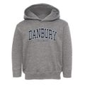 Danbury Wisconsin Traditional Toddler Hoodie additional view 1