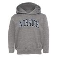 Norwich Ohio Traditional Toddler Hoodie additional view 1