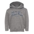 Gold Hill Nevada Traditional Toddler Hoodie additional view 1