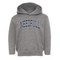 Needfull Ohio Traditional Toddler Hoodie additional view 1