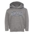 Oneida Valley New York Traditional Toddler Hoodie additional view 1