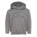 Beckerville Kansas Traditional Toddler Hoodie additional view 1
