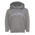 French Mountain New York Traditional Toddler Hoodie additional view 1