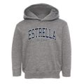Estrella Arizona Traditional Toddler Hoodie additional view 1