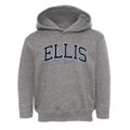 Ellis Illinois Traditional Toddler Hoodie additional view 1