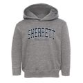Sherrett Pennsylvania Traditional Toddler Hoodie additional view 1
