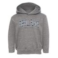 Fishkill Plains New York Traditional Toddler Hoodie additional view 1