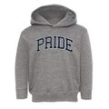 Pride Ohio Traditional Toddler Hoodie additional view 1