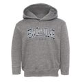 Penn Daw Village Virginia Traditional Toddler Hoodie additional view 1