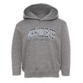 Northwood Center New Hampshire Traditional Toddler Hoodie additional view 1