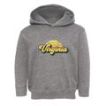Virginia Sublime State Toddler Hoodie additional product view 1