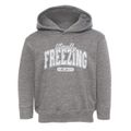 Literally Freezing Toddler Hoodie additional view 1