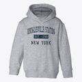 Knowlesville Station New York Classic Established Toddler Hoodie additional view 1