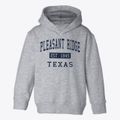 Pleasant Ridge Texas Classic Established Toddler Hoodie additional view 1