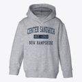 Center Sandwich New Hampshire Classic Established Toddler Hoodie additional view 1