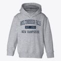 Moultonborough Falls New Hampshire Classic Established Toddler Hoodie additional view 1