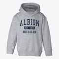Albion Michigan Classic Established Toddler Hoodie additional view 1