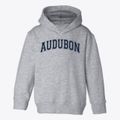 Audubon High School Varsity Arch Toddler Hoodie additional view 1