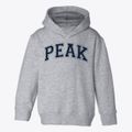 Peak Charter Academy Varsity Arch Toddler Hoodie additional view 1