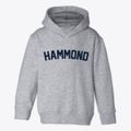 Hammond Wisconsin Classic Curve Toddler Hoodie additional view 1