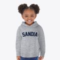 Sandia Texas Classic Curve Toddler Hoodie additional view 2