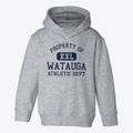Watauga Tennessee Athletic Dept Toddler Hoodie additional view 1