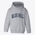Blue Hill Nebraska Varsity Toddler Hoodie additional view 1